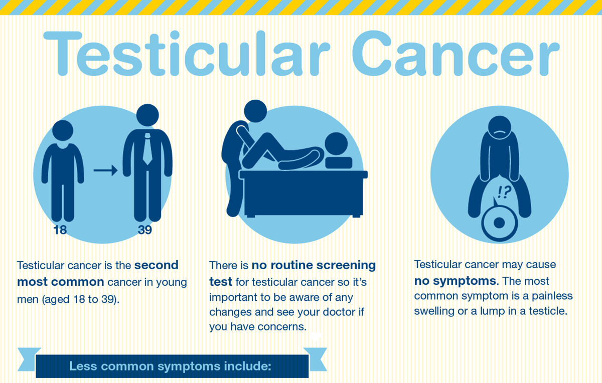 Testicular Cancer What Are The Symptoms Cancer Council NSW