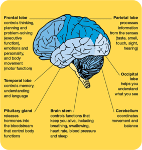 Brain Tumours | Spinal Cord Tumours | Cancer Council NSW