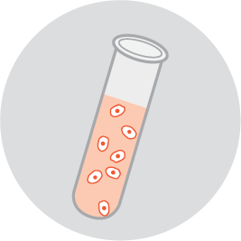  Stems cells preserved
